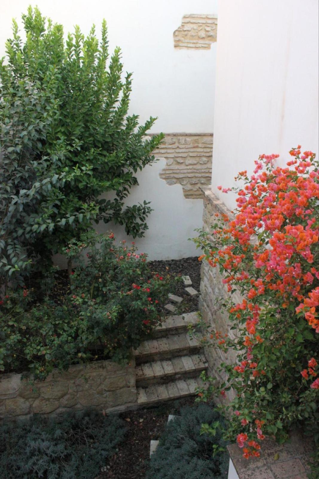 דירות קורדובה La Casa De La Escalera 1 Derecha מראה חיצוני תמונה